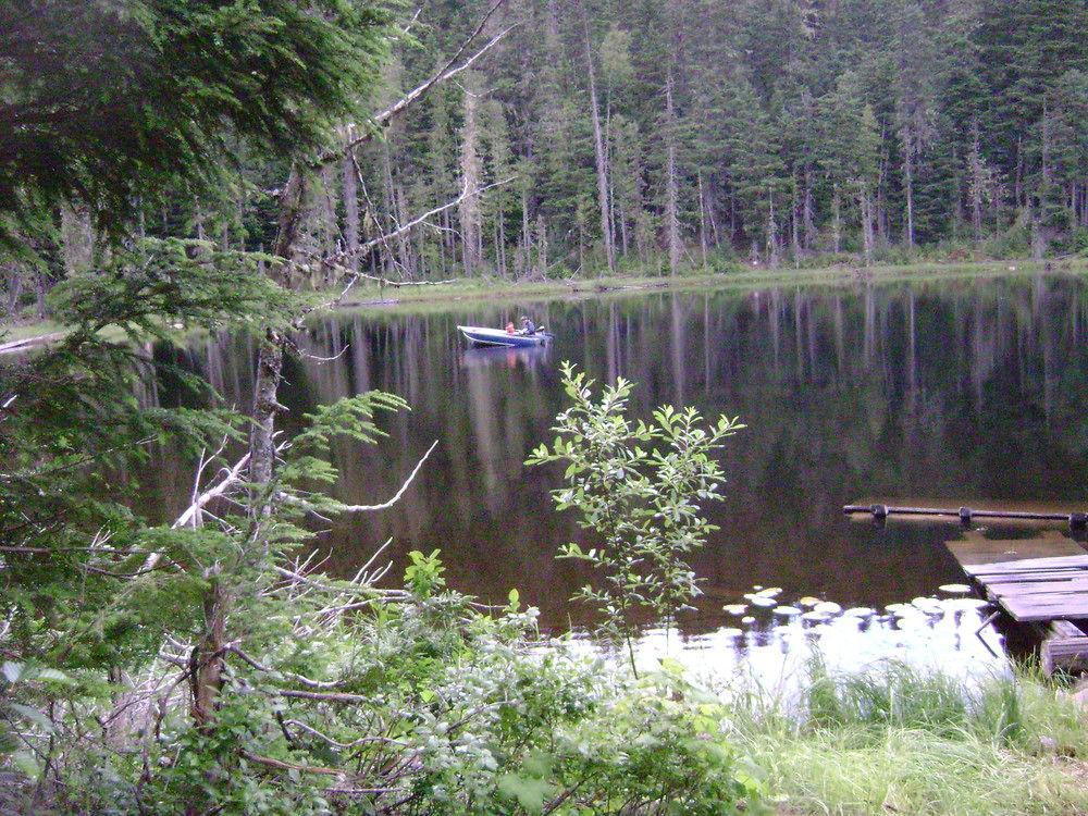 Blue River Cabins & Campgrounds Bagian luar foto